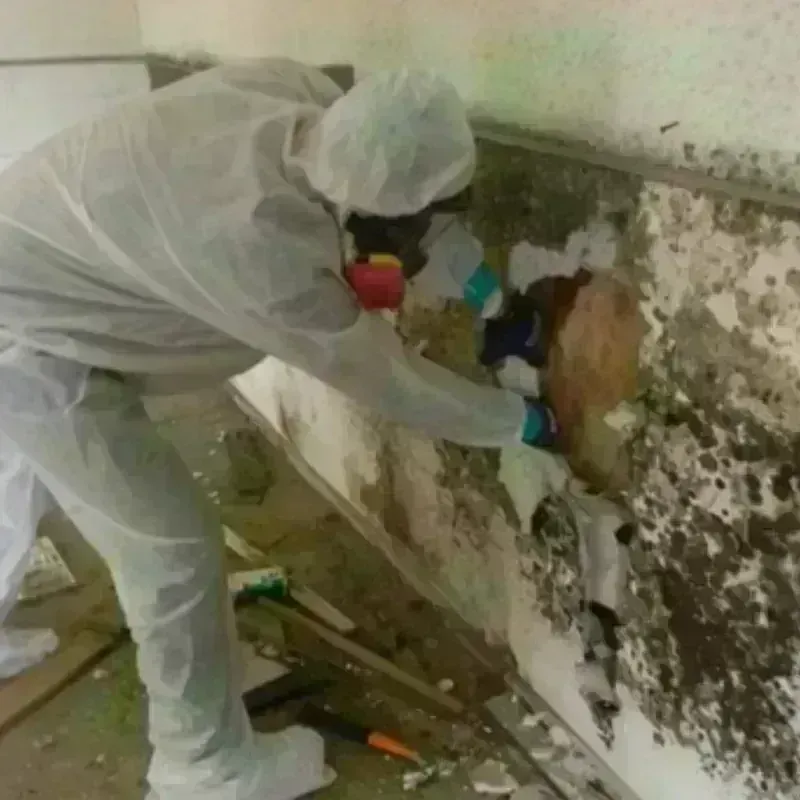 Mold Remediation and Removal in North Kingstown, RI